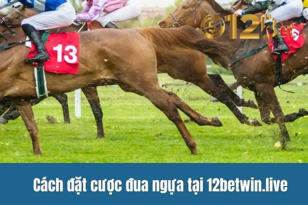 12bet – Cược Đua Ngựa Online, Tỷ Lệ Cược Đua Ngựa Cao